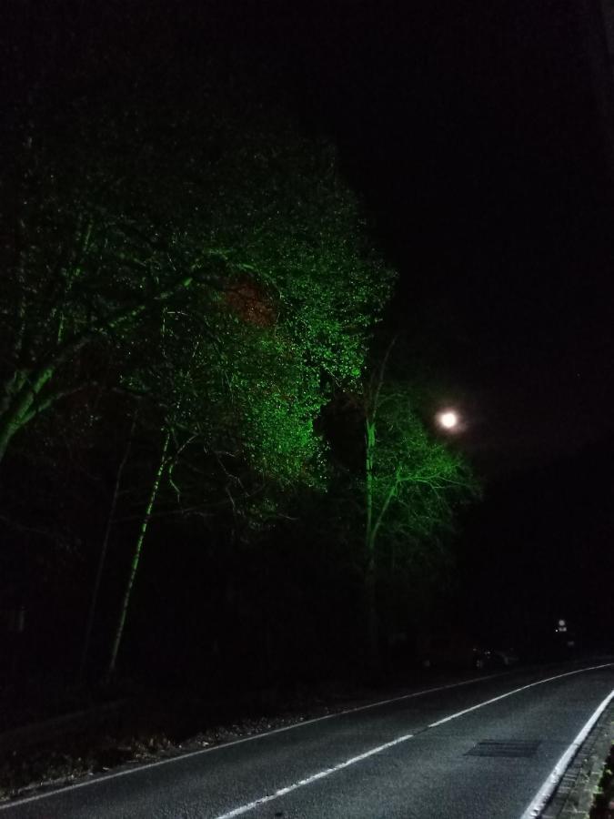 Koenigreich Romkerhall Schulenberg im Oberharz Εξωτερικό φωτογραφία